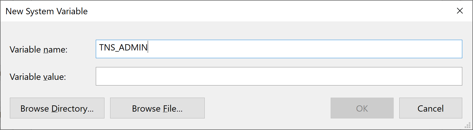 A Windows 10 Window labeled New System Variable has two text boxes to populate. The first is labeled Variable name and is populated with the value "TNS_ADMIN". The second is labeled Variable value and is not populated.